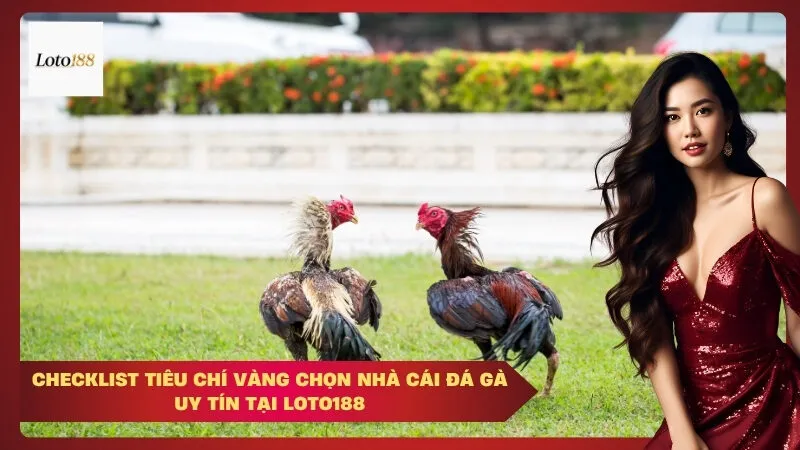 Checklist tiêu chí vàng chọn nhà cái đá gà uy tín tại Loto188