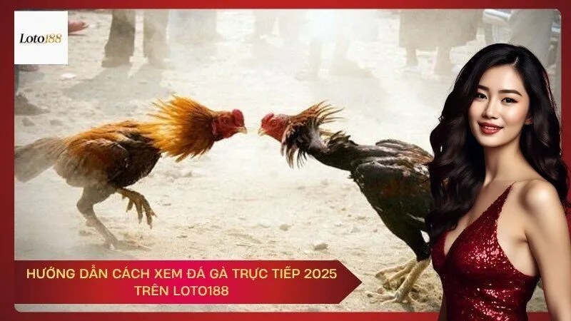 Hướng Dẫn Cách Xem Đá Gà Trực Tiếp 2025